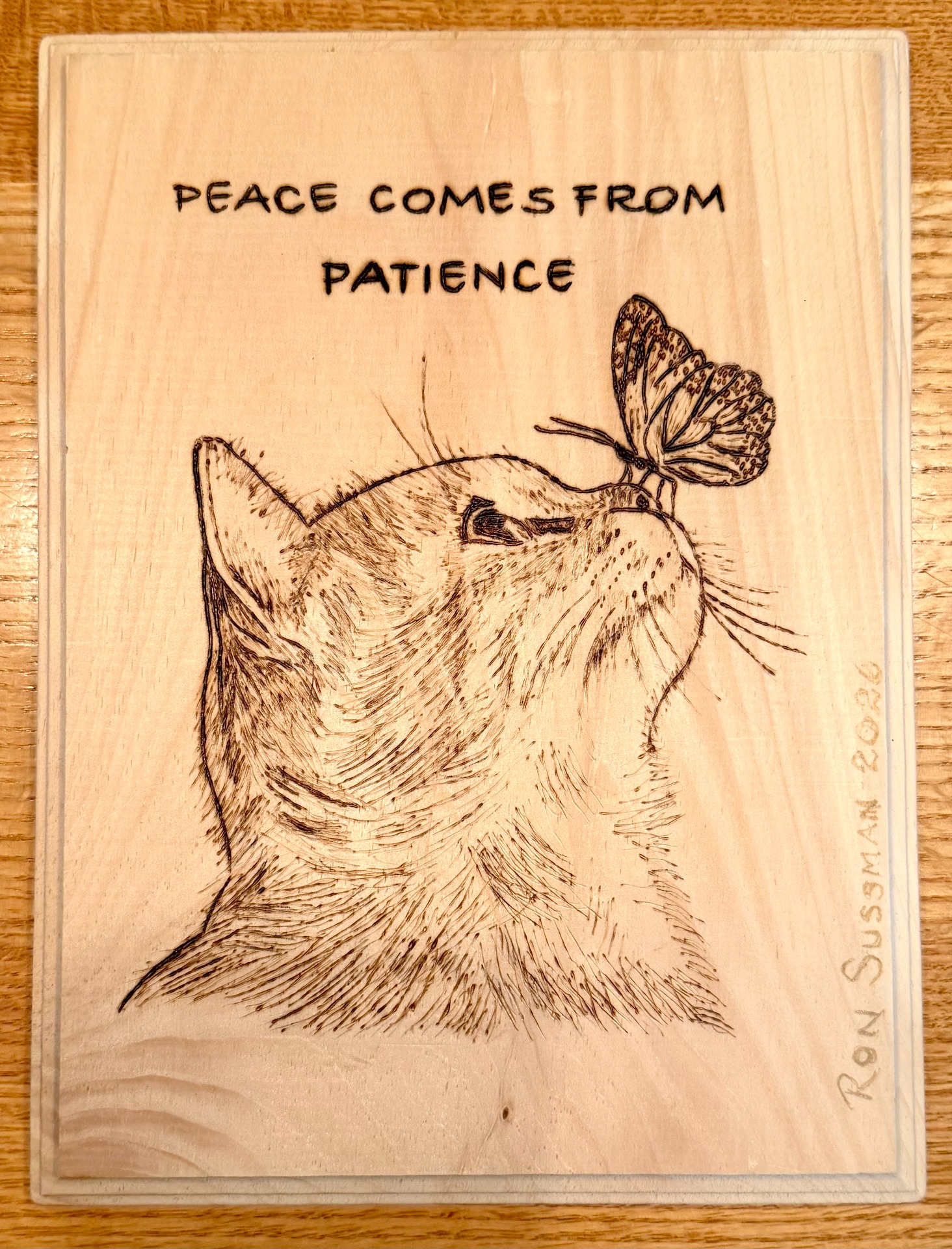 Peace Comes From Patience!!